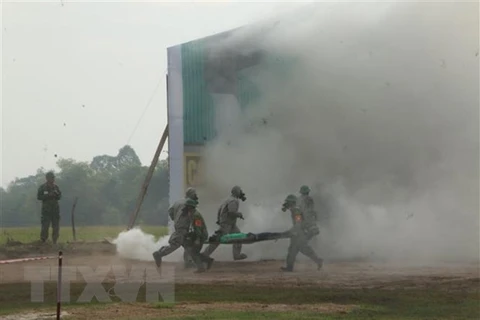 Vietnam, Cambodia hold joint rescue drill 