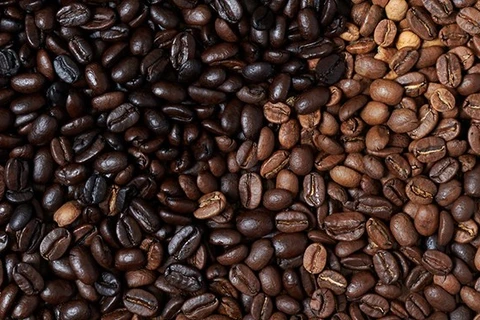 Coffee sector targets 6 billion USD in export turnover in 2020