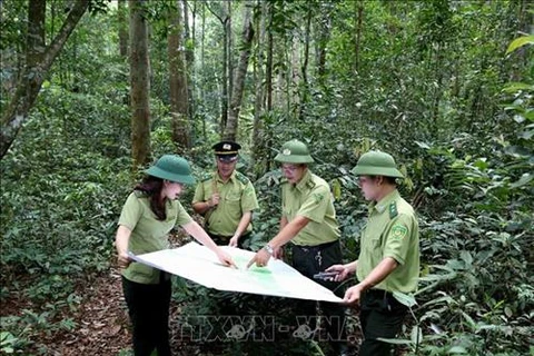 Vietnam to boost tourism development in protective forests