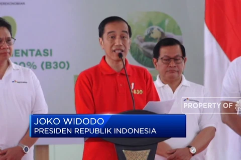 Indonesian President kicks off use of B30 biodiesel 