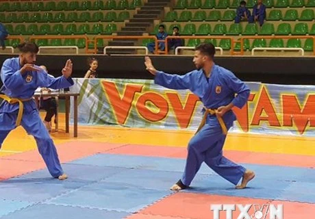 Vietnam secures berth at Vovinam world championships