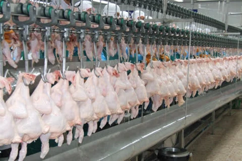 Thai pork, chicken exports soar in face of swine fever