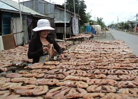 Mekong Delta craft villages get busy for Tet