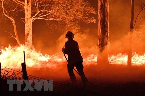 Sympathies extended to Australia over wildfires