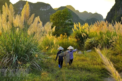 Ninh Binh expects to welcome 7.8 million tourists in 2020