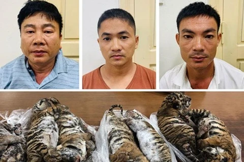 Man receives six-year jail term for transnational wildlife trading 