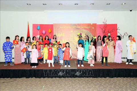 Vietnamese embassies celebrate Lunar New Year festival 