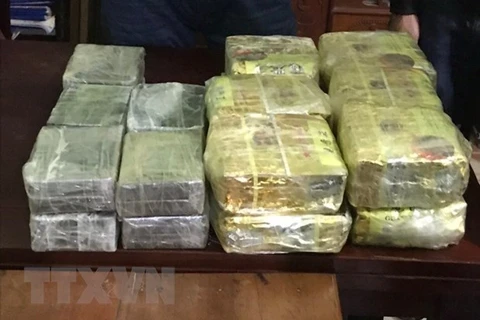 Nghe An, Thanh Hoa police seize huge amount of trafficked drug 
