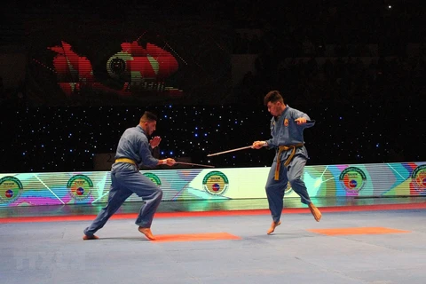 Algerian tournament promotes Vietnamese martial art