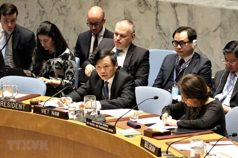 Vietnam chairs UNSC open debate on Middle East situation 
