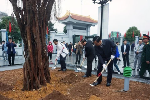 Hanoi to plant about 120,000 new trees this spring