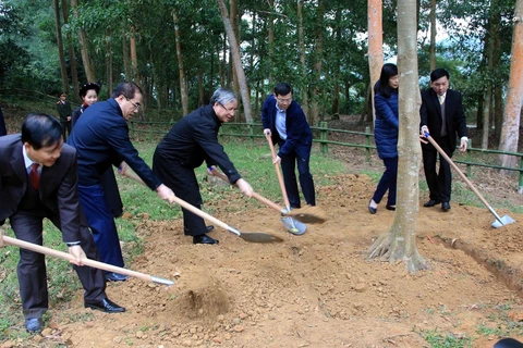 Tree-planting festival launched in Tuyen Quang province 