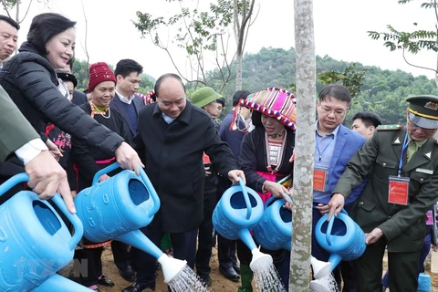 PM launches tree planting campaign in Yen Bai 