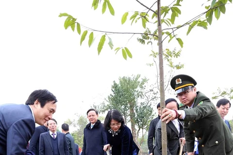 Vice President launches New Year tree-planting festival in Phu Tho 