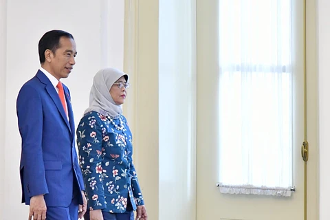 Indonesia, Singapore ink many important deals