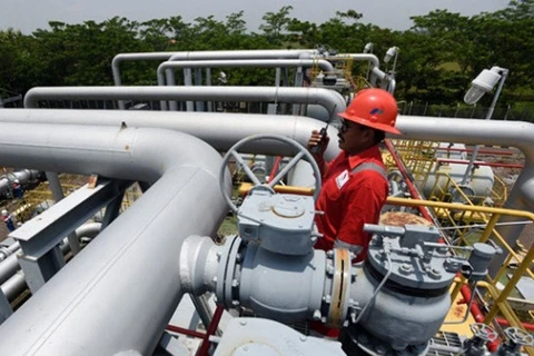 Indonesia starts work on 255km industrial gas pipeline 