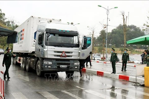 Vietnam-China auxiliary border gates reopened to facilitate trade