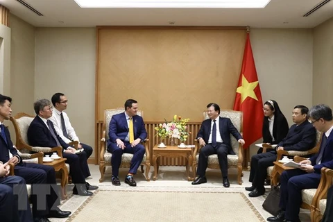 Deputy PM hosts investors interested in LNG power development in Vietnam 