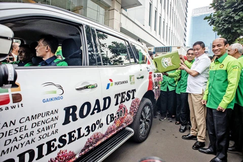 Indonesia to start trial use of 40 percent biodiesel in March