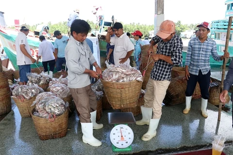 Kien Giang province unveils numerous measures to improve fishermen’s lot