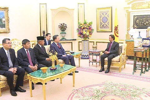 Public security minister pays courtesy call to Sultan of Brunei