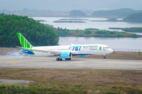 Bamboo Airways to launch new domestic, int’l flights in February 
