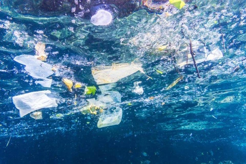 Malaysia is top plastic ocean polluter in Asia: WWF