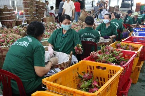 Singapore firms seek suppliers of agricultural products in Vietnam