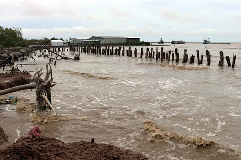 Mekong Delta grapples with erosion, subsidence