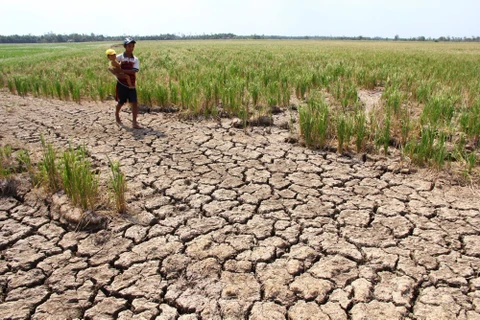 Central region at high risk of drought: official 