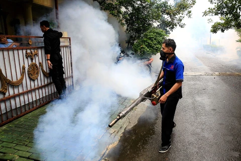 Indonesia grapples with dengue fever