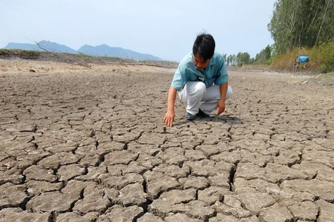 Japan provides 3.9 mln USD to help manage flood, drought in lower Mekong basin