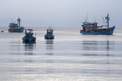 Ben Tre steps up installation of fishing vessel monitoring devices