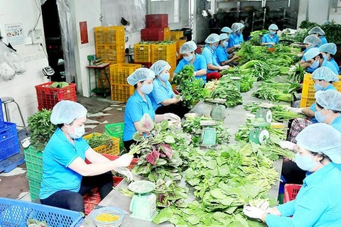 New 40 agricultural firms set up in HCM City in three months