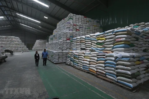 National food reserves always sufficient for emergencies: authority