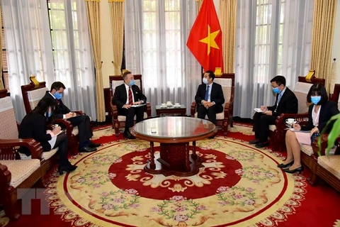 Vietnam, Czech Republic joining hands against COVID-19 