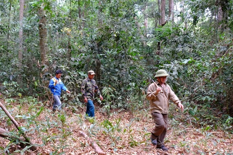 Binh Phuoc tightens forest protection in dry season