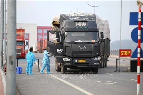 Reopening of Mong Cai border gate facilitates resumption of exports to China