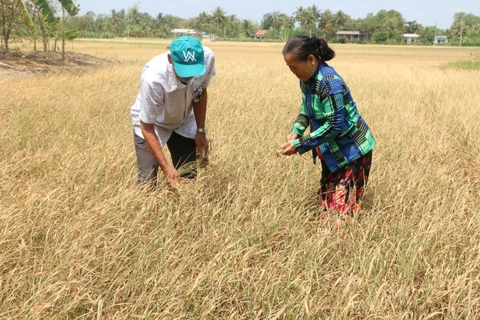 Mekong Delta provinces get help to cope with drought