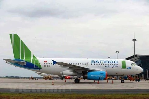 Bamboo Airways to resume domestic flights from April 16