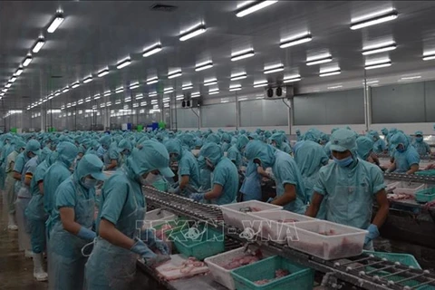 Dong Thap helps fish exporters amid lower demand during COVID-19