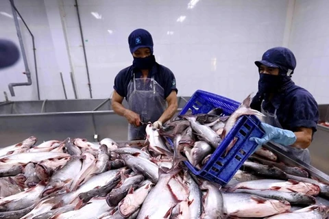 Aquatic exports to China shows sign of recovery