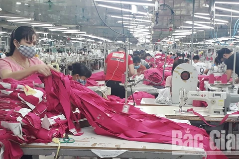 Bac Giang works to generate more jobs