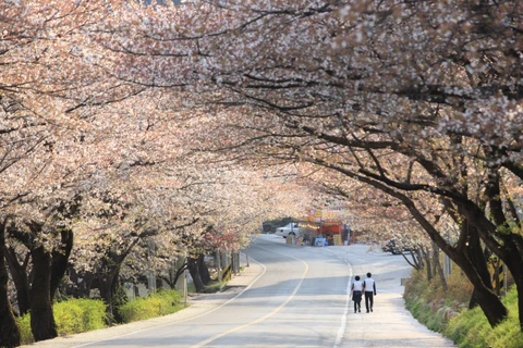 Photo contest helps recall memories of travel to RoK