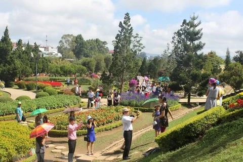 Da Lat welcomes 58,000 tourists during national holiday