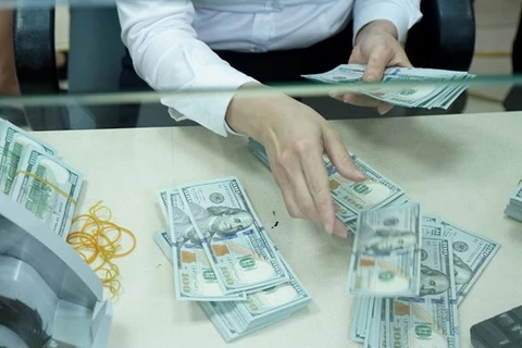 Reference exchange rate down 10 VND after holiday 