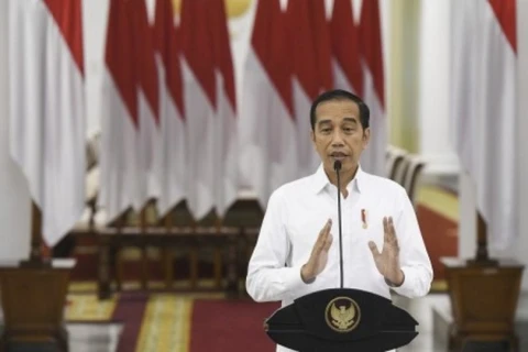 Indonesia halts regional elections due to COVID-19