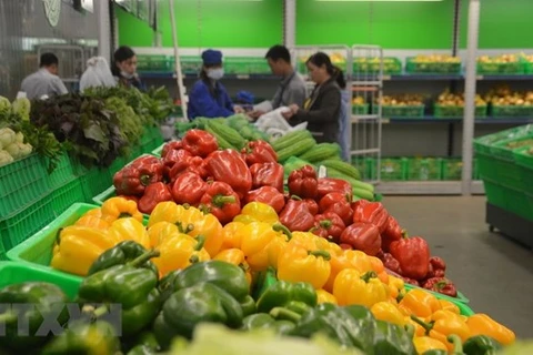 Fruit, vegetable exports up 7.9 percent in April 