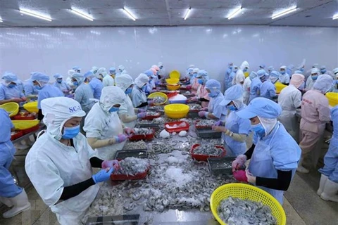 Vietnam’s shrimp exports forecast to reach 3.8 billion USD in 2020