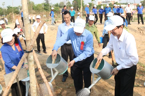 Tree planting campaigns launched to mark President Ho Chi Minh’s birth anniversary